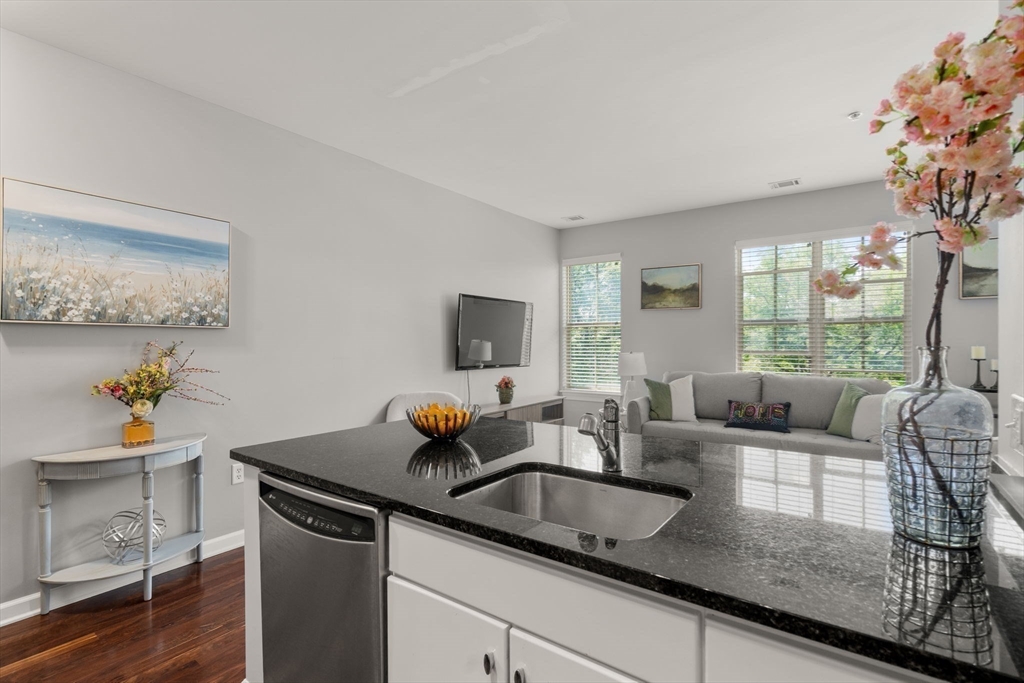 4 Repton Place, Unit 4205 Watertown, MA 02472 - Photo 6 of 21