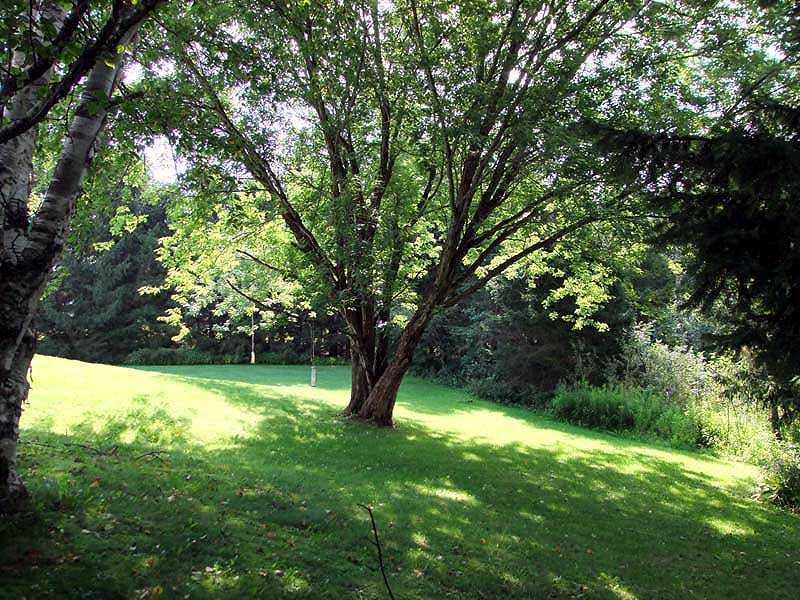 726 Ludlow Road Houlton, ME 04730 - Photo 9 of 35 Land.