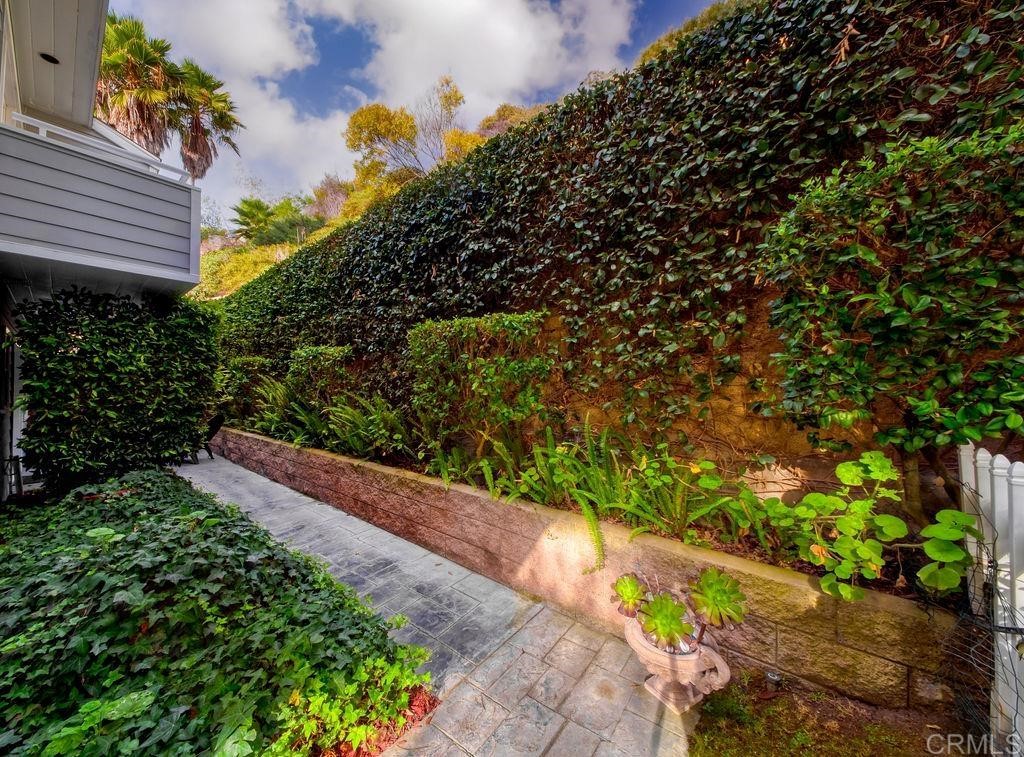 960 Valley Avenue Solana Beach, CA 92075 - Photo 47 of 51 a view of a garden with plants