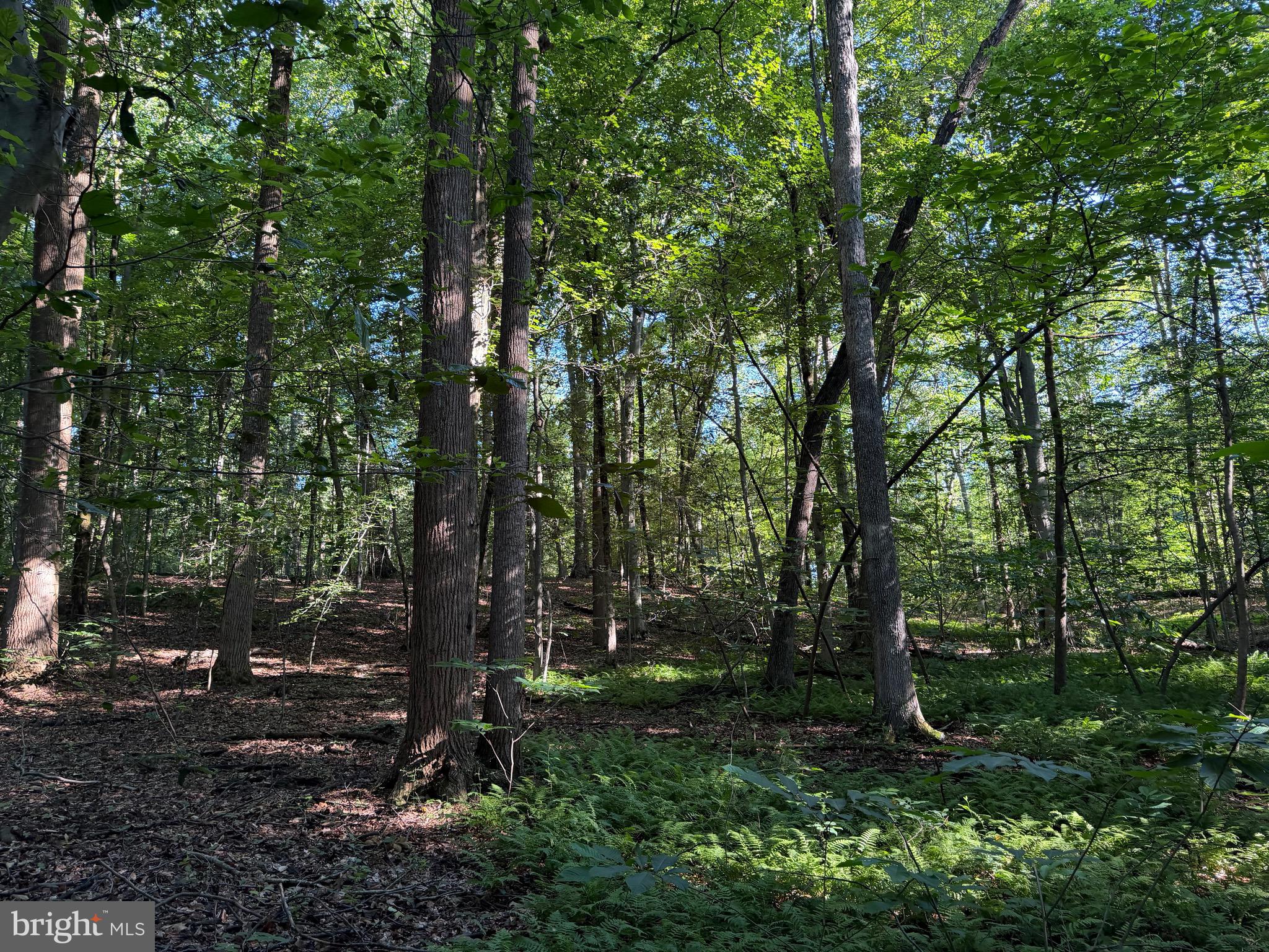0 Rock Springs Road Conowingo, MD 21918 - Photo 50 of 79