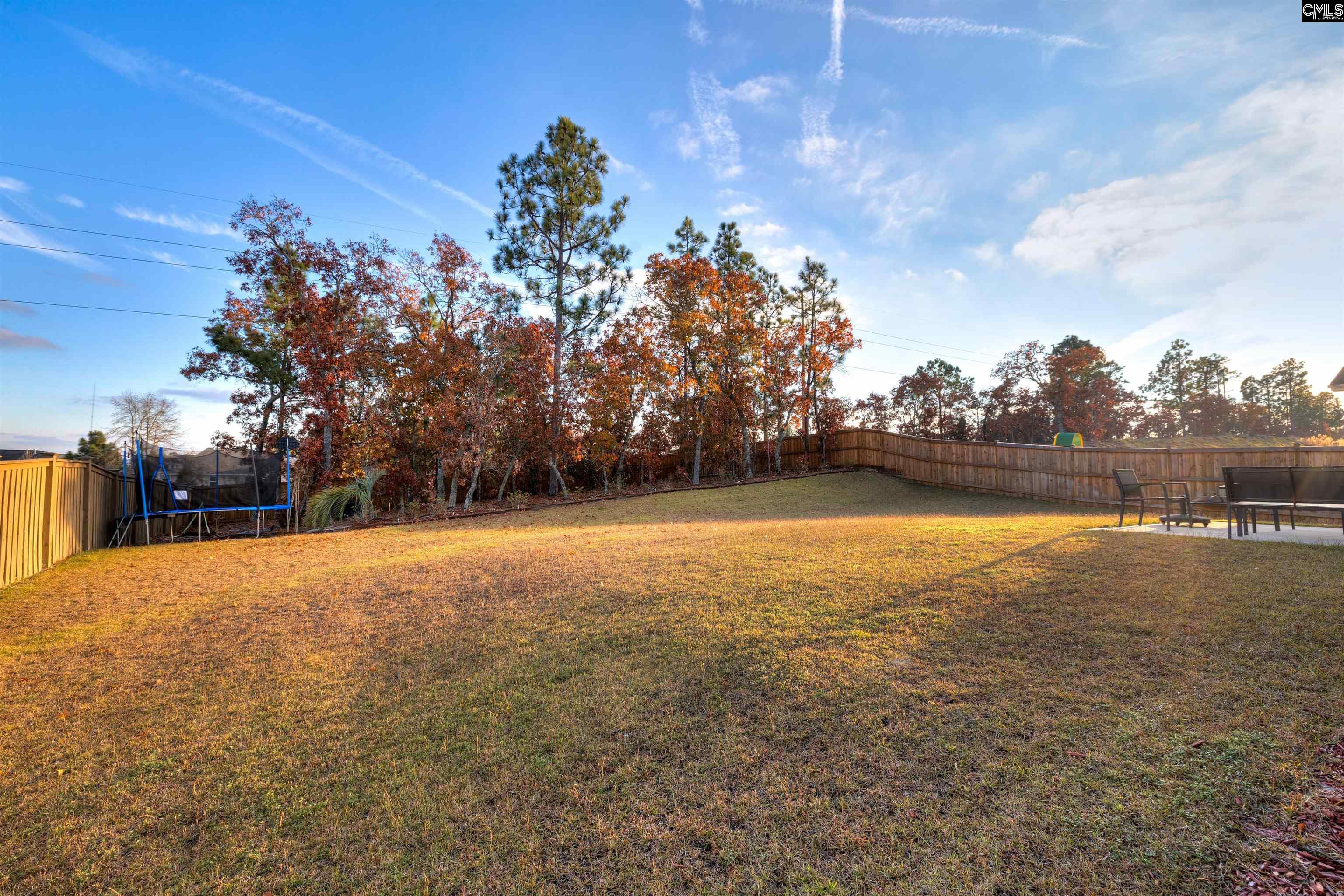 29 Coltswood Lane Elgin, SC 29045 - Photo 71 of 75