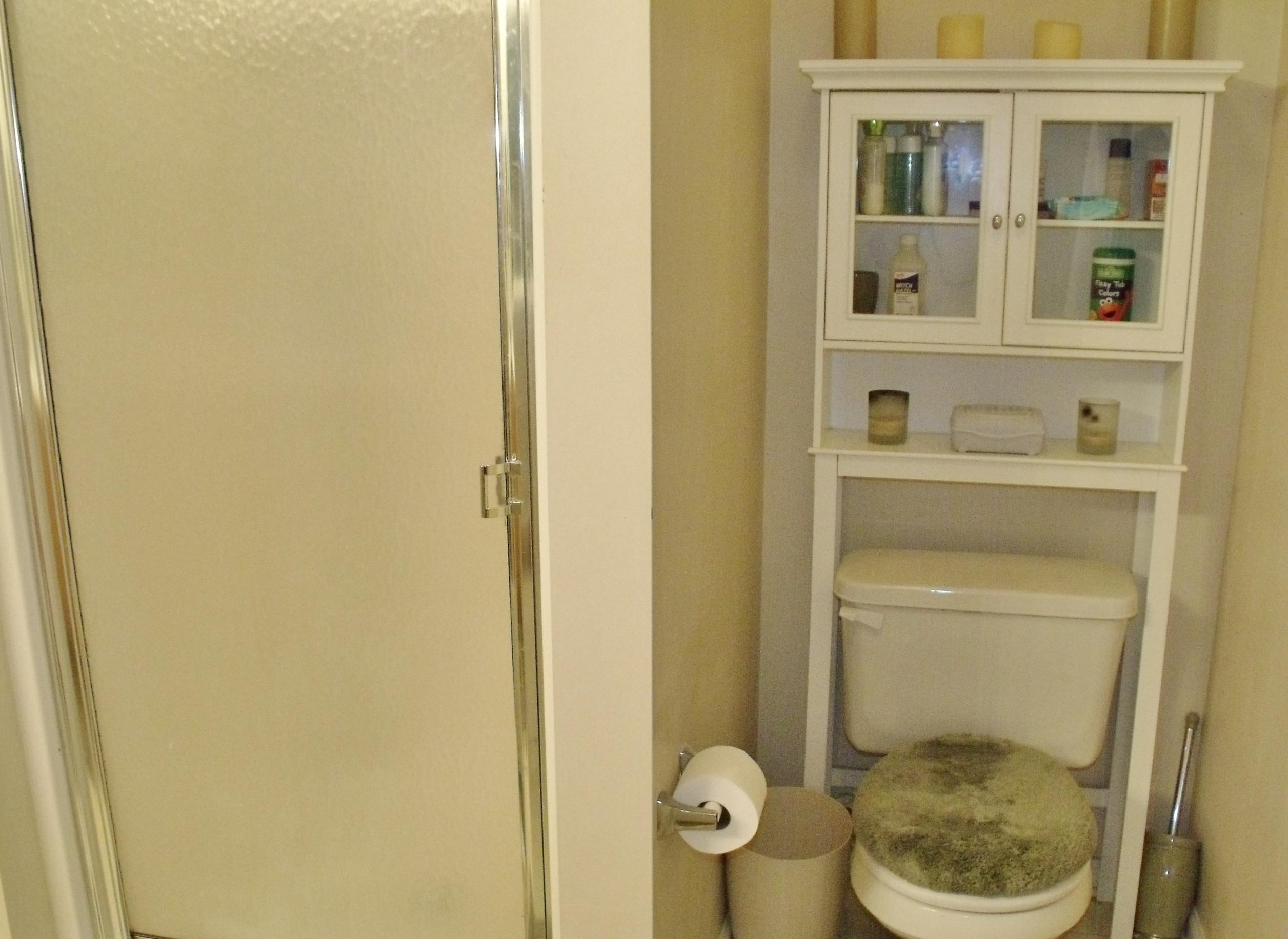 114 Eagle Ridge Road Summerville, SC 29485 - Photo 19 of 28 Master Suite