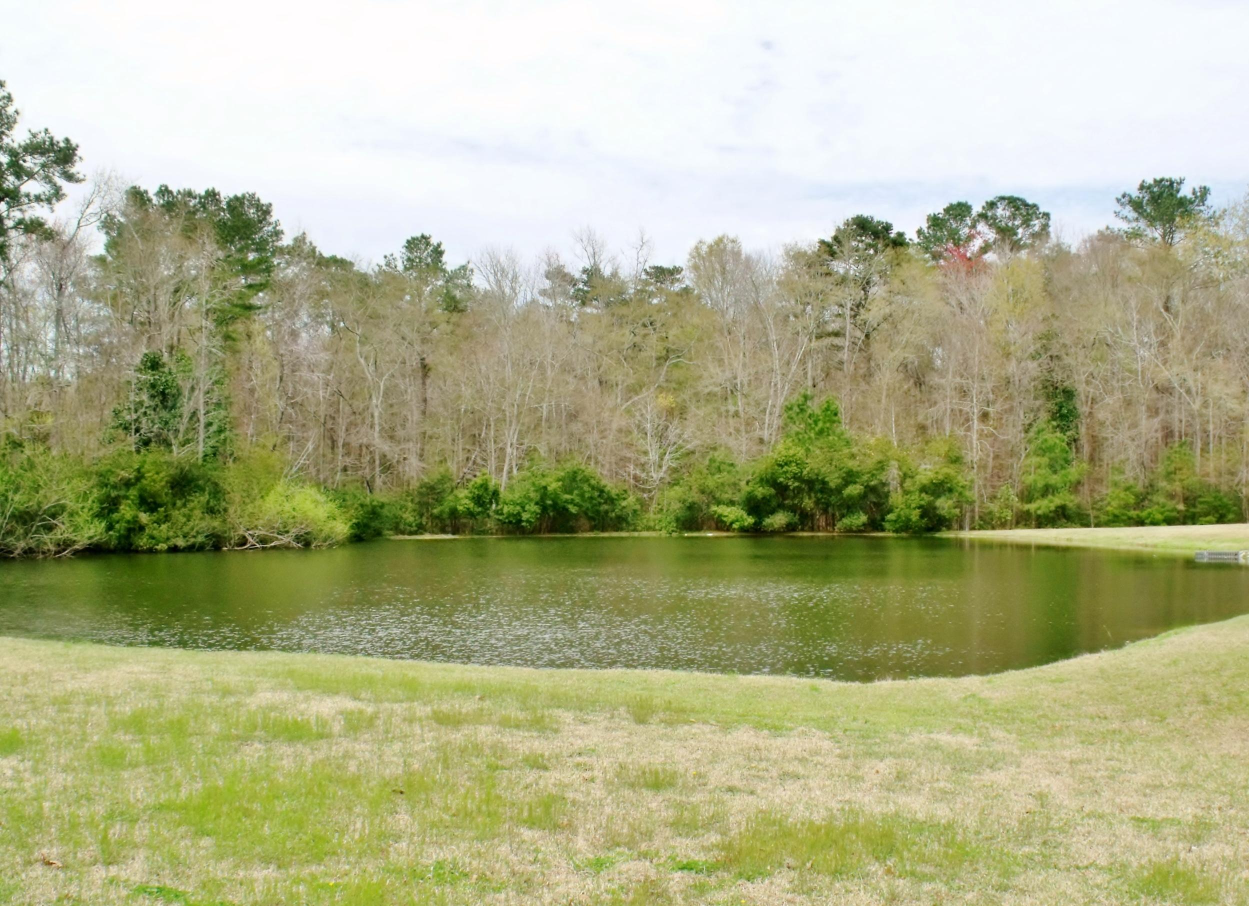 114 Eagle Ridge Road Summerville, SC 29485 - Photo 27 of 28 Pond