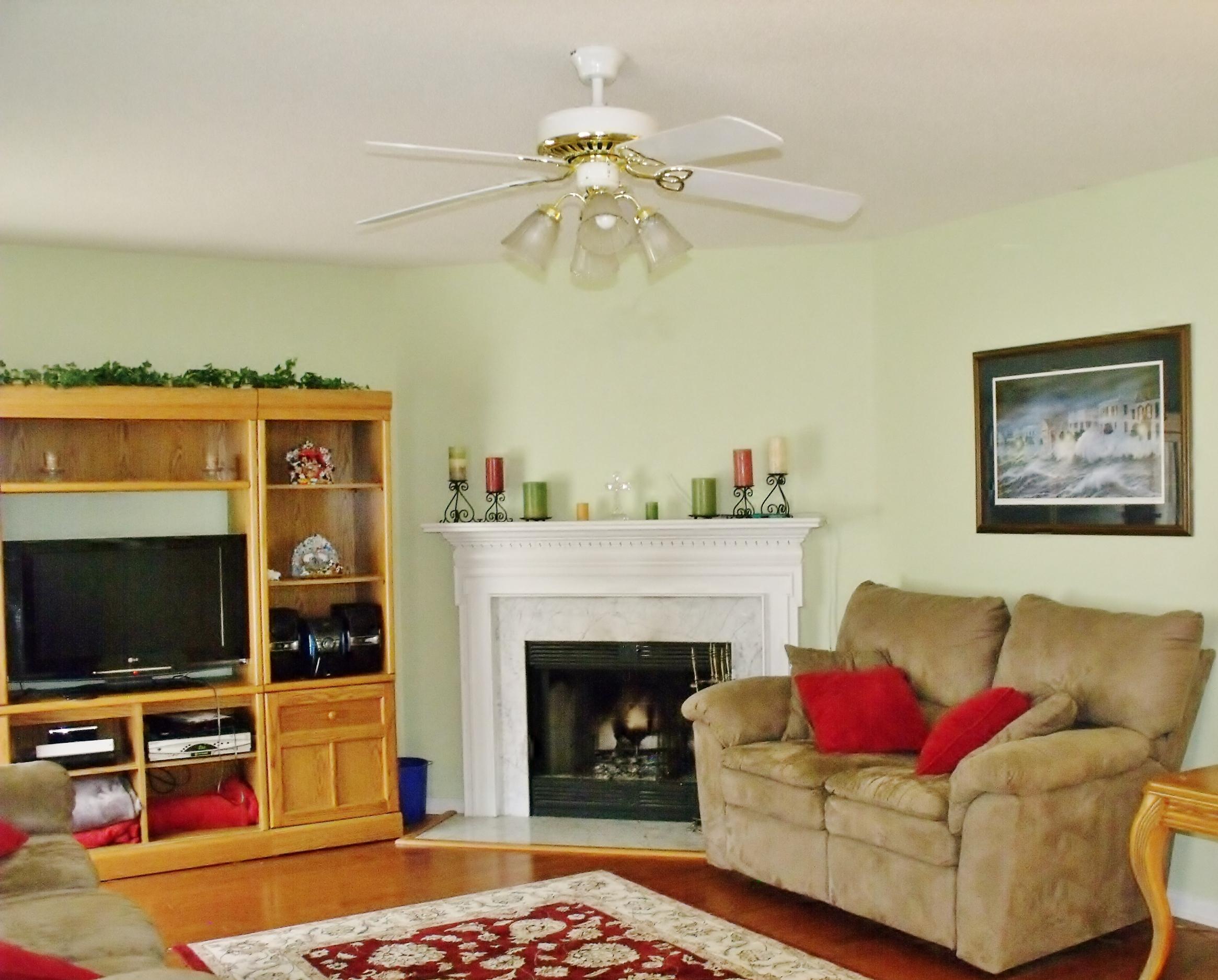 114 Eagle Ridge Road Summerville, SC 29485 - Photo 6 of 28 Family Room Fireplace