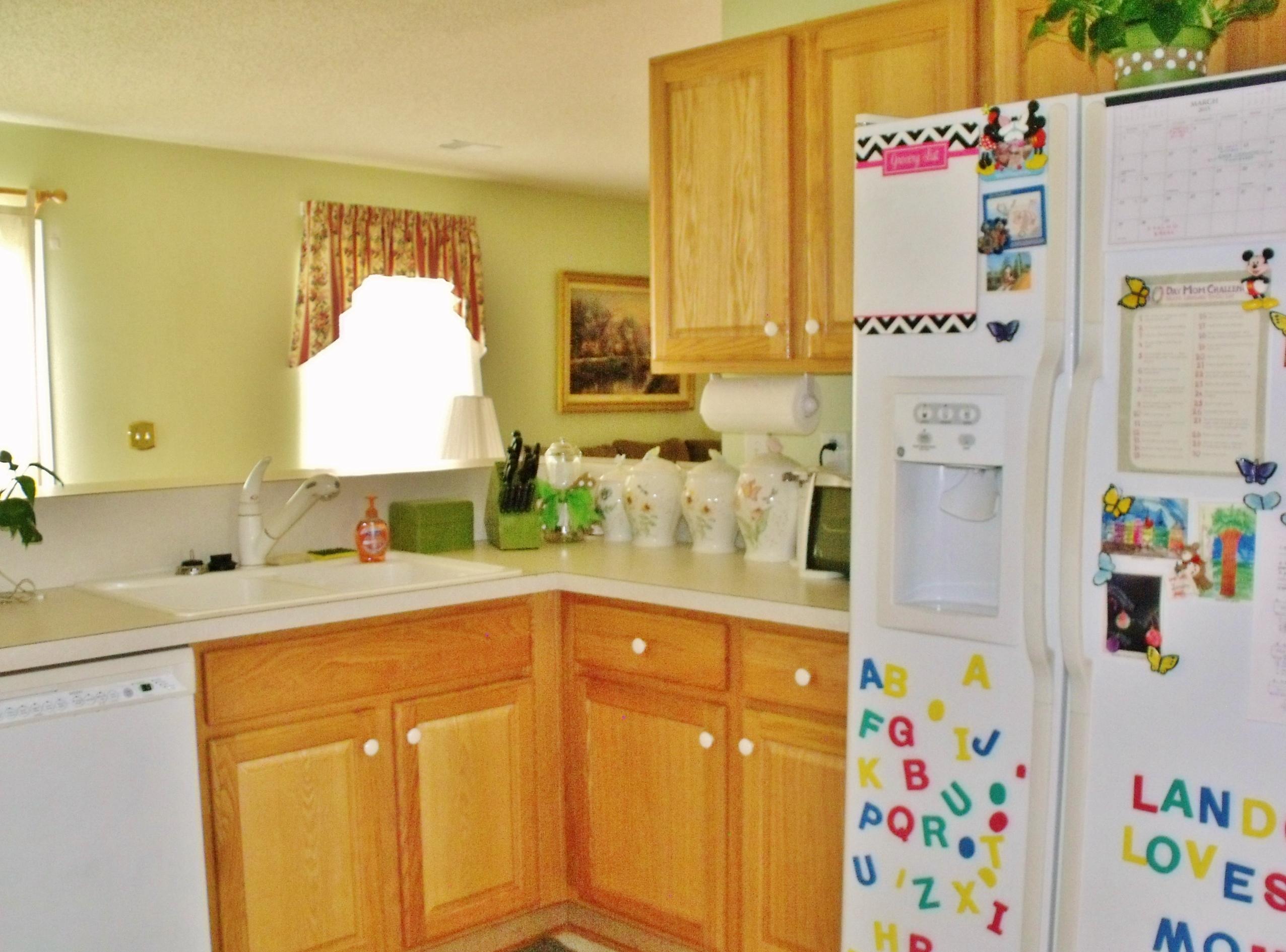 114 Eagle Ridge Road Summerville, SC 29485 - Photo 9 of 28 Kitchen