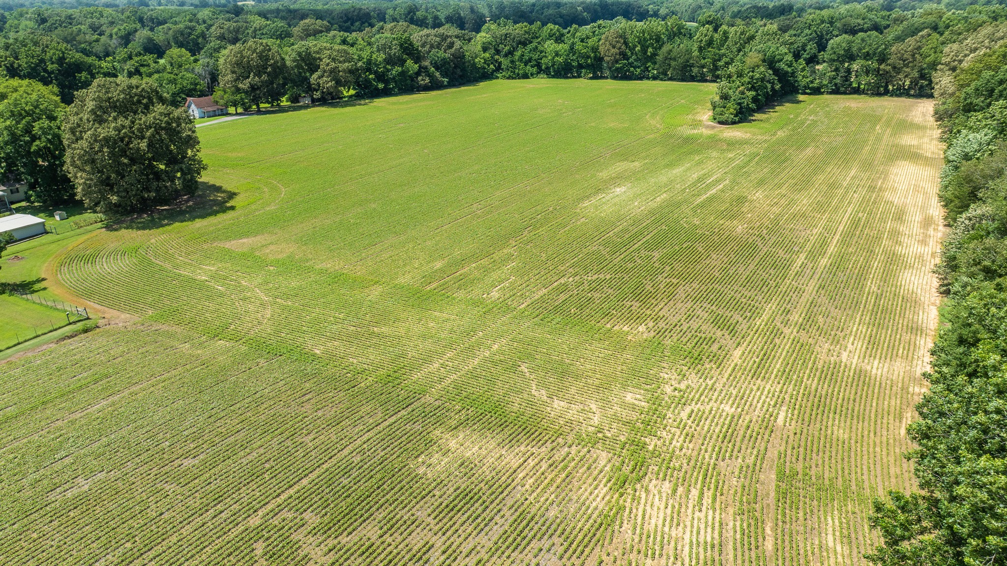 325 Harts Mill Road Atwood, TN 38220 - Photo 40 of 44