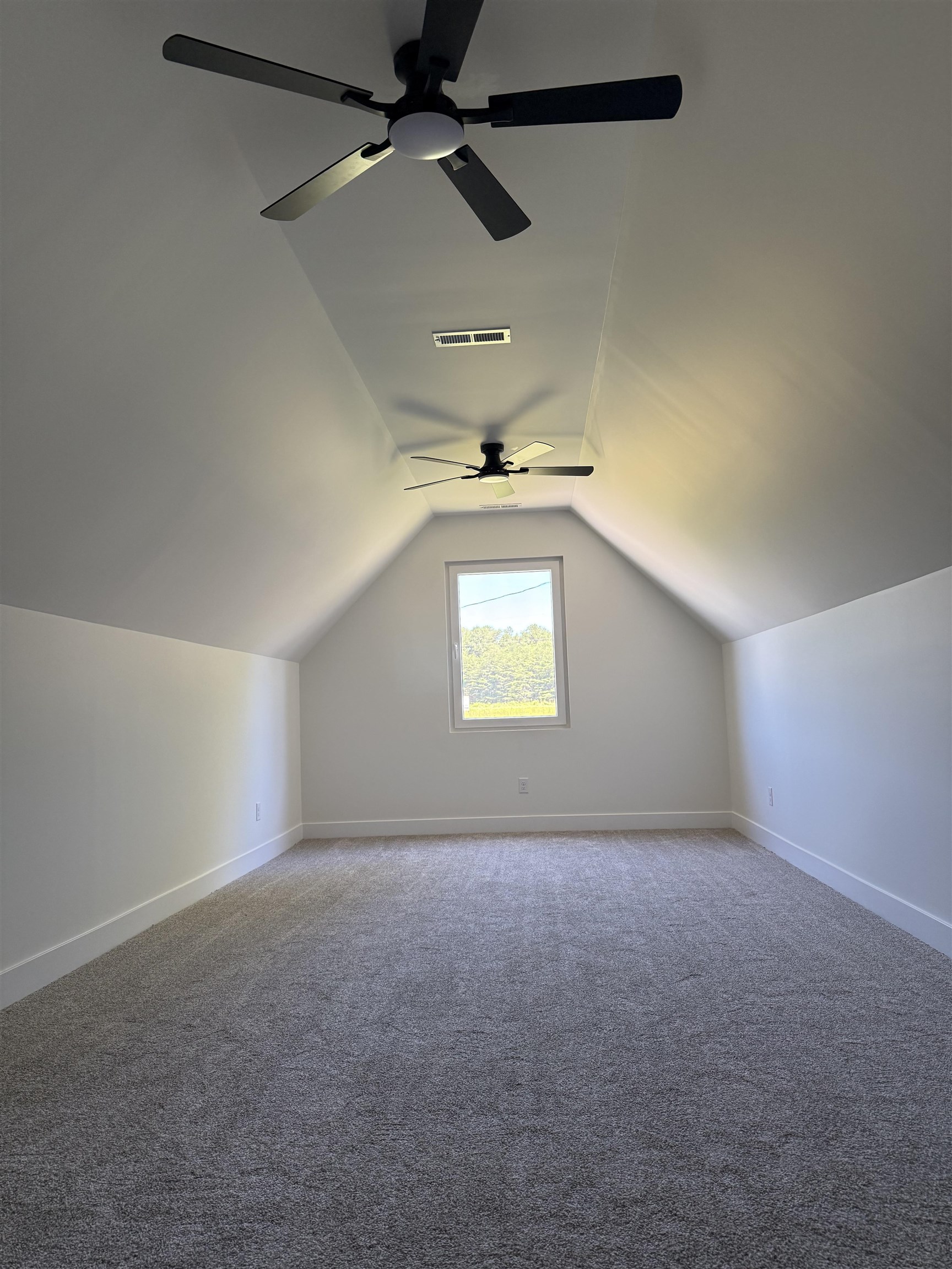 141 Babb Road Campobello, SC 29322 - Photo 42 of 50