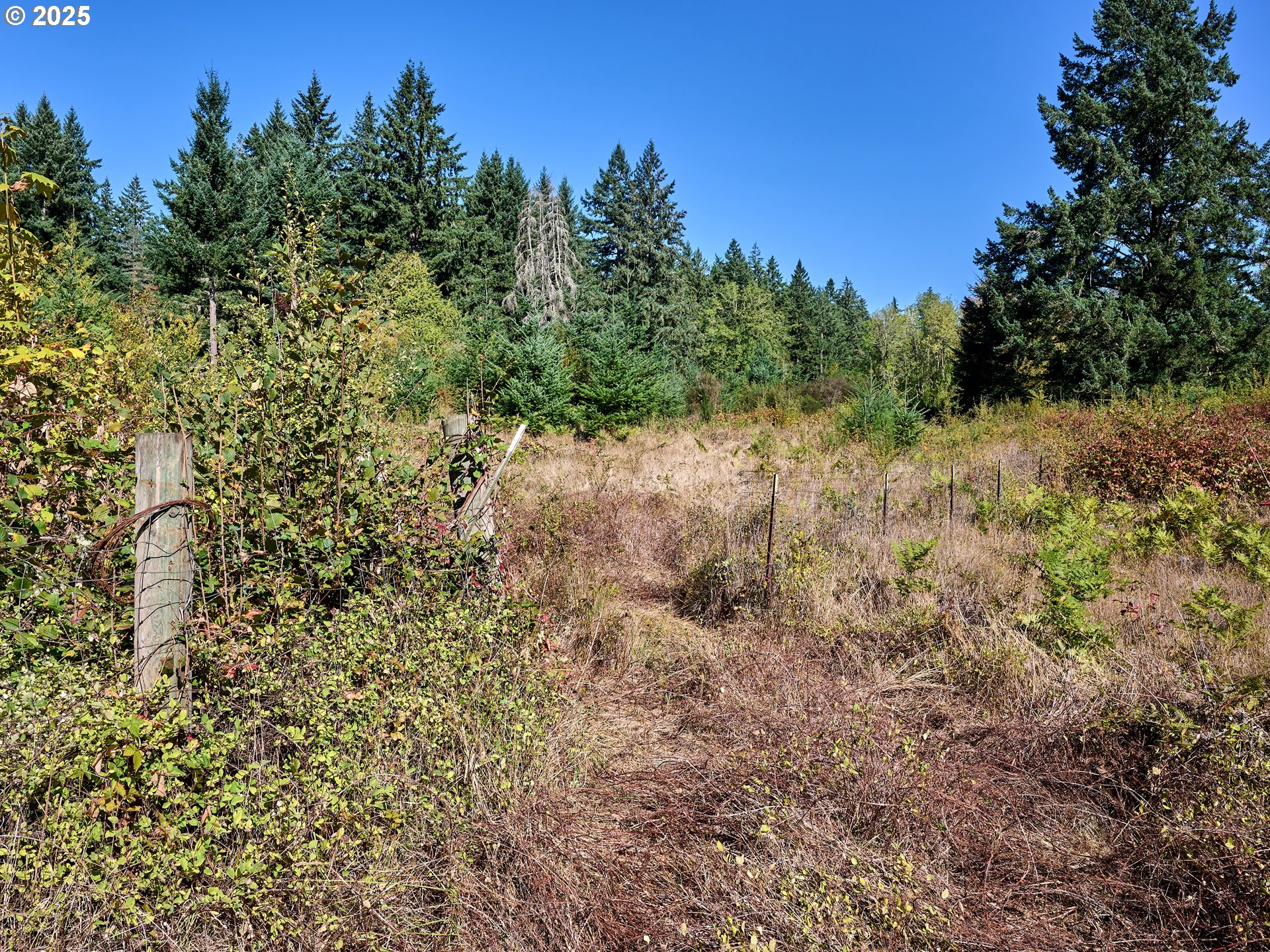 19115 Southwest Conzelmann Road Sherwood, OR 97140 - Photo 42 of 48 Gallery Image 42