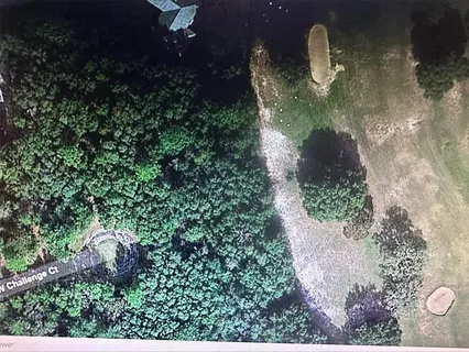 a view of a tree in a yard