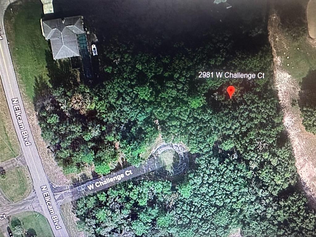 2981 West Challenge Court Citrus Springs, FL 34434 - Photo 2 of 7 a view of a garden with plants and flowers