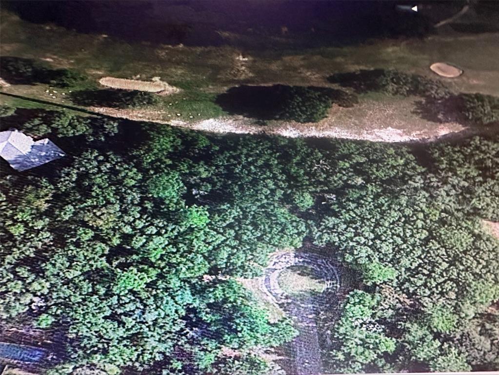 2981 West Challenge Court Citrus Springs, FL 34434 - Photo 4 of 7 a view of a street with a yard