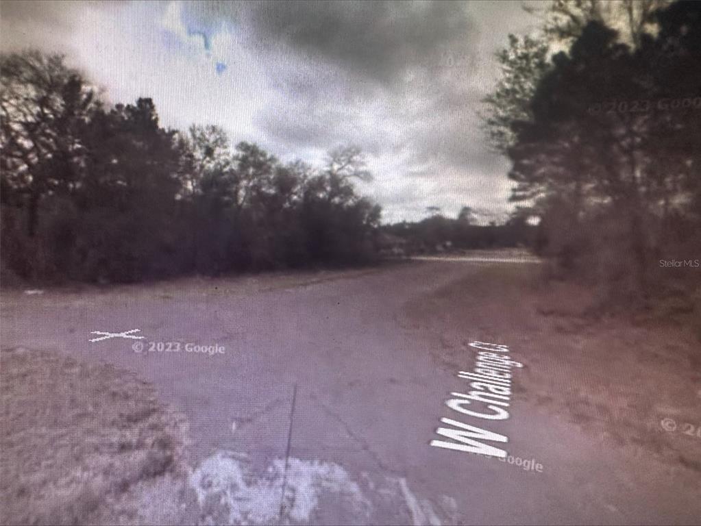 2981 West Challenge Court Citrus Springs, FL 34434 - Photo 5 of 7 a view of outdoor space with city view