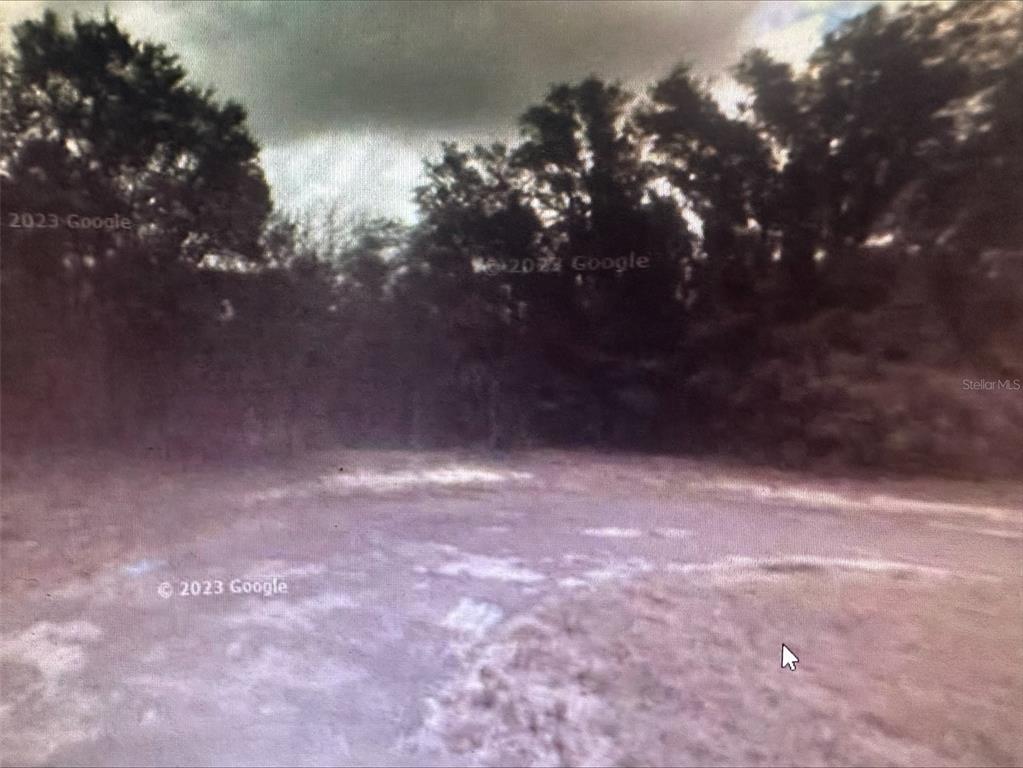 2981 West Challenge Court Citrus Springs, FL 34434 - Photo 6 of 7 a view of empty room with green space