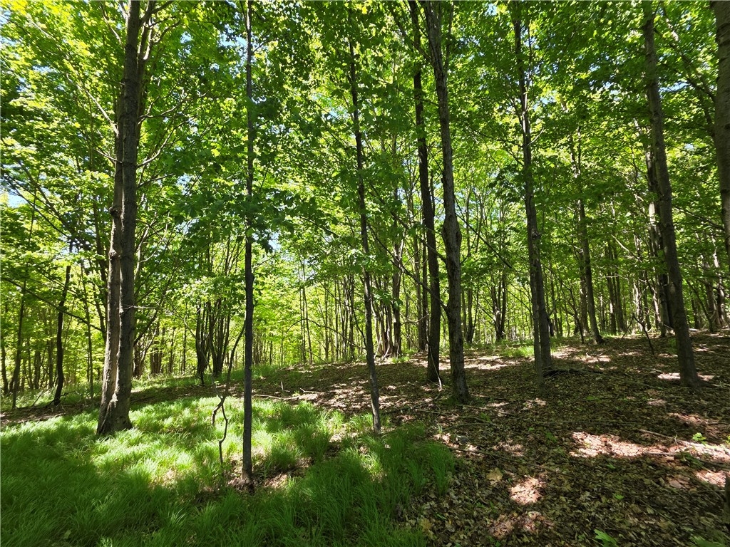 1069 Bollen Road, Unit 1066 Troupsburg, NY 14885 - Photo 17 of 19