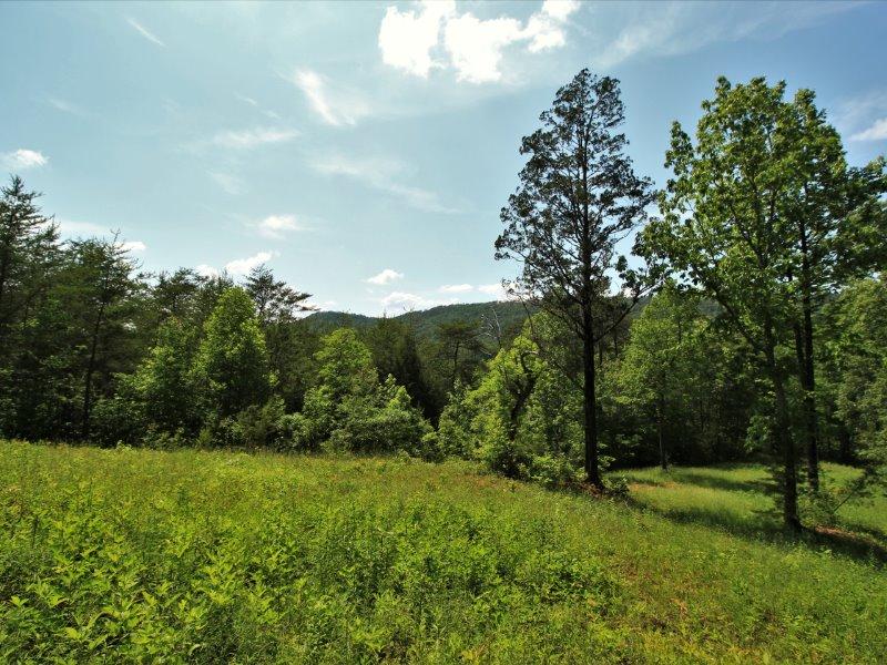 1480 Reagan Valley Road Tellico Plains, TN 37385 - Photo 1 of 32 IMG_5633