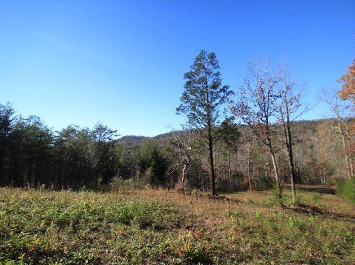 1480 Reagan Valley Road Tellico Plains, TN 37385 - Photo 2 of 32 Carrandi Lot 6 RMC photo 14