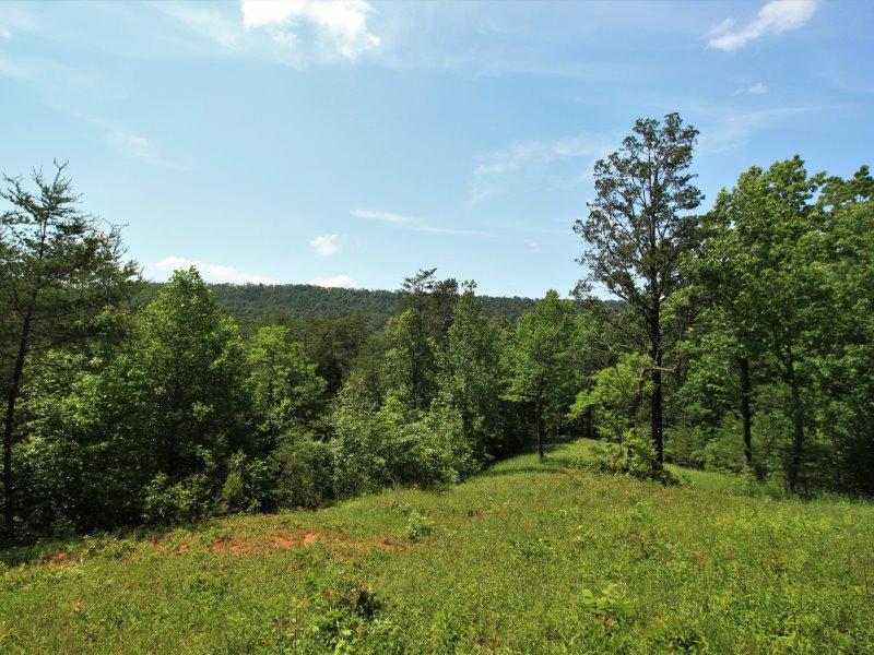 1480 Reagan Valley Road Tellico Plains, TN 37385 - Photo 12 of 32 IMG_5636