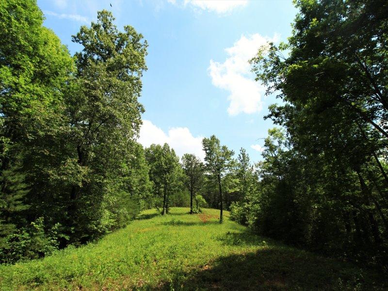 1480 Reagan Valley Road Tellico Plains, TN 37385 - Photo 13 of 32 IMG_5614