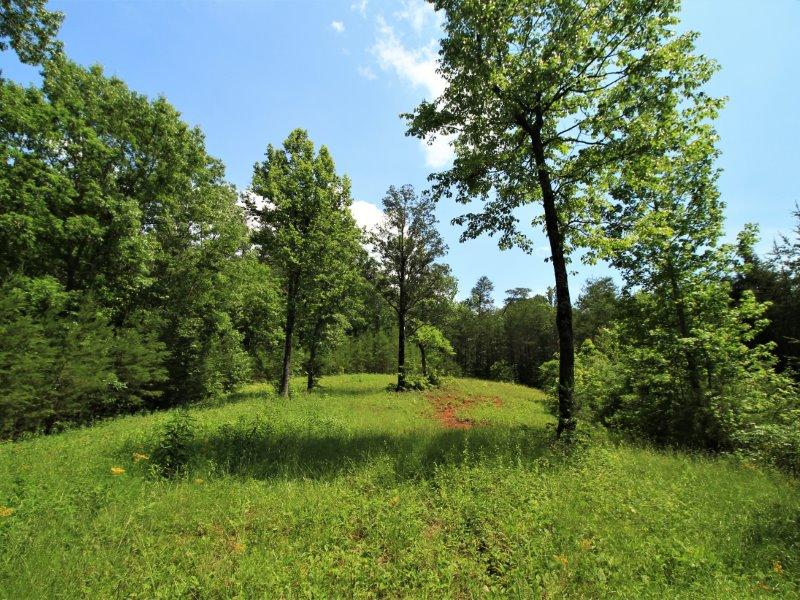 1480 Reagan Valley Road Tellico Plains, TN 37385 - Photo 14 of 32 IMG_5617