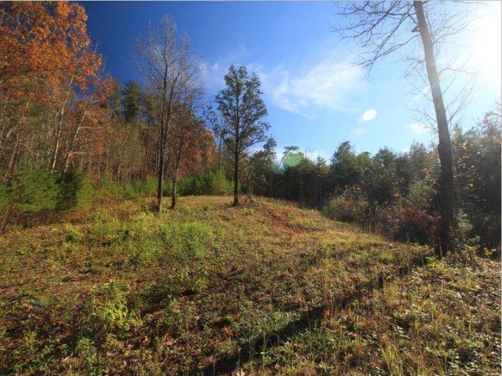 1480 Reagan Valley Road Tellico Plains, TN 37385 - Photo 15 of 32 Carrandi Lot 6 RMC photo 6