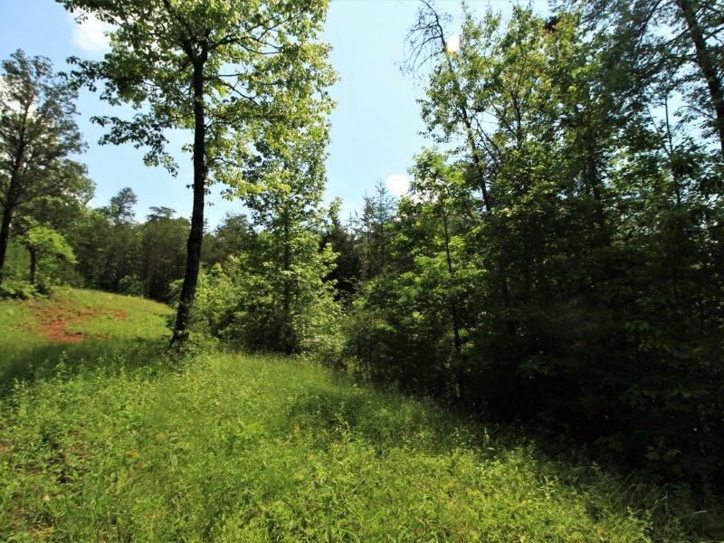 1480 Reagan Valley Road Tellico Plains, TN 37385 - Photo 16 of 32 IMG_5618
