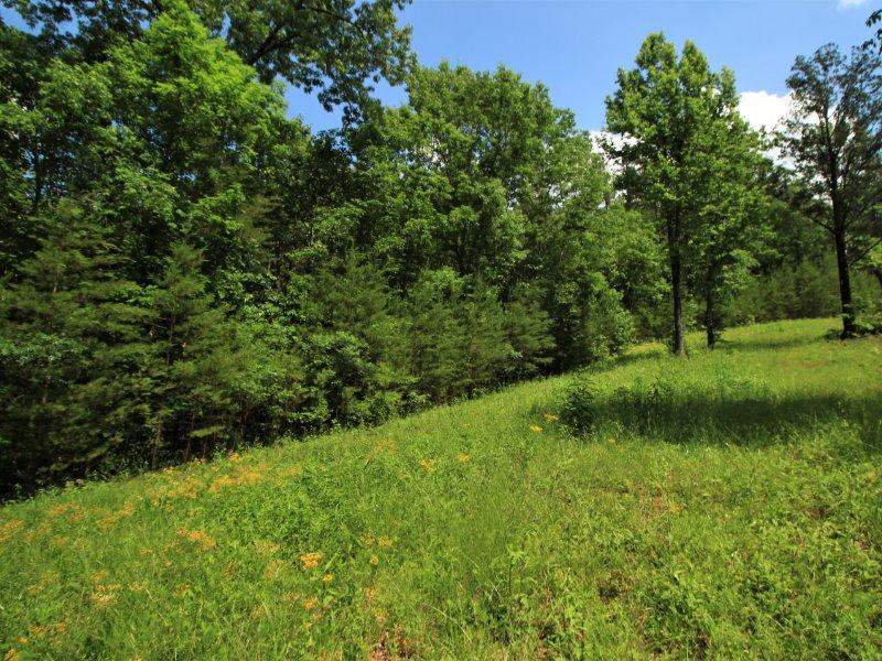 1480 Reagan Valley Road Tellico Plains, TN 37385 - Photo 17 of 32 IMG_5619