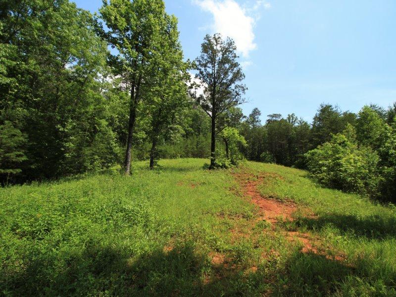 1480 Reagan Valley Road Tellico Plains, TN 37385 - Photo 18 of 32 IMG_5620