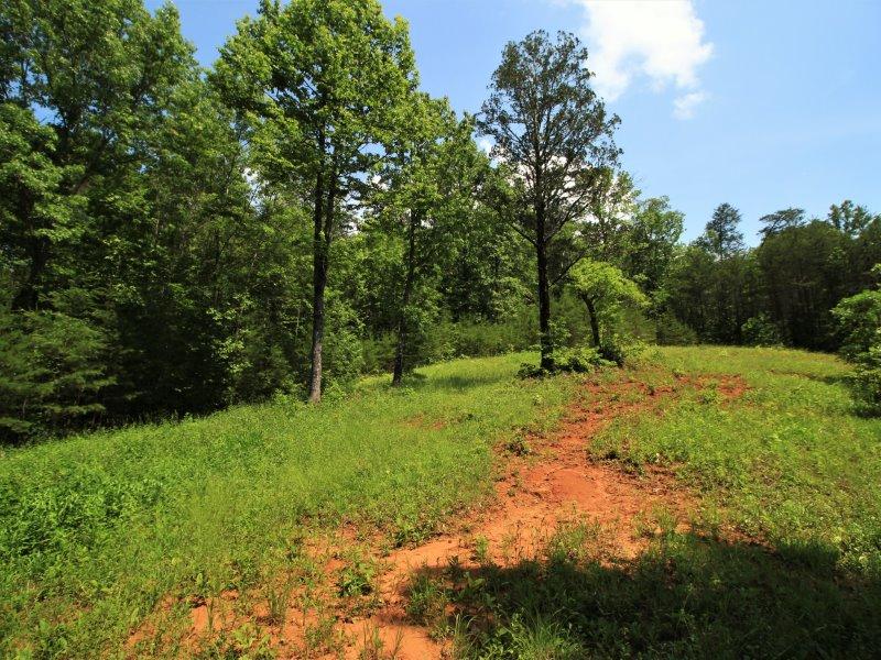1480 Reagan Valley Road Tellico Plains, TN 37385 - Photo 19 of 32 IMG_5621