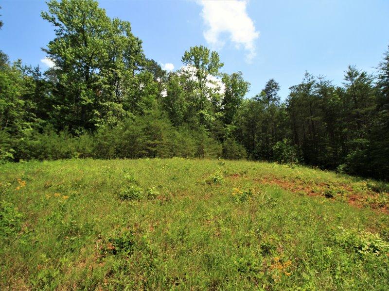 1480 Reagan Valley Road Tellico Plains, TN 37385 - Photo 20 of 32 IMG_5622