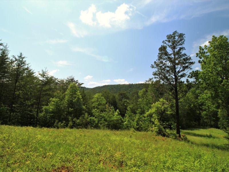 1480 Reagan Valley Road Tellico Plains, TN 37385 - Photo 3 of 32 IMG_5628