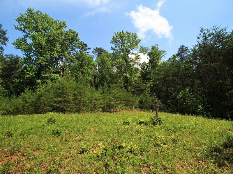 1480 Reagan Valley Road Tellico Plains, TN 37385 - Photo 21 of 32 IMG_5623