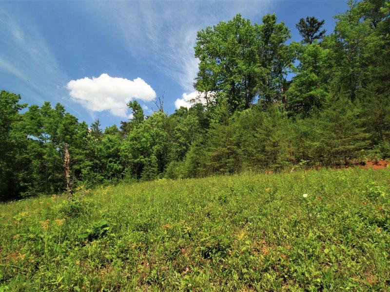1480 Reagan Valley Road Tellico Plains, TN 37385 - Photo 22 of 32 IMG_5624