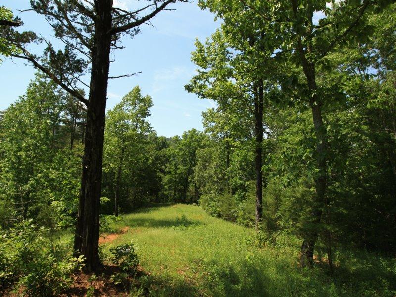 1480 Reagan Valley Road Tellico Plains, TN 37385 - Photo 23 of 32 IMG_5637