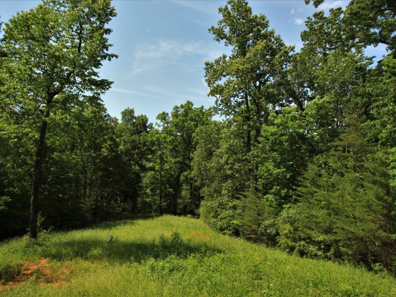 1480 Reagan Valley Road Tellico Plains, TN 37385 - Photo 24 of 32 IMG_5638