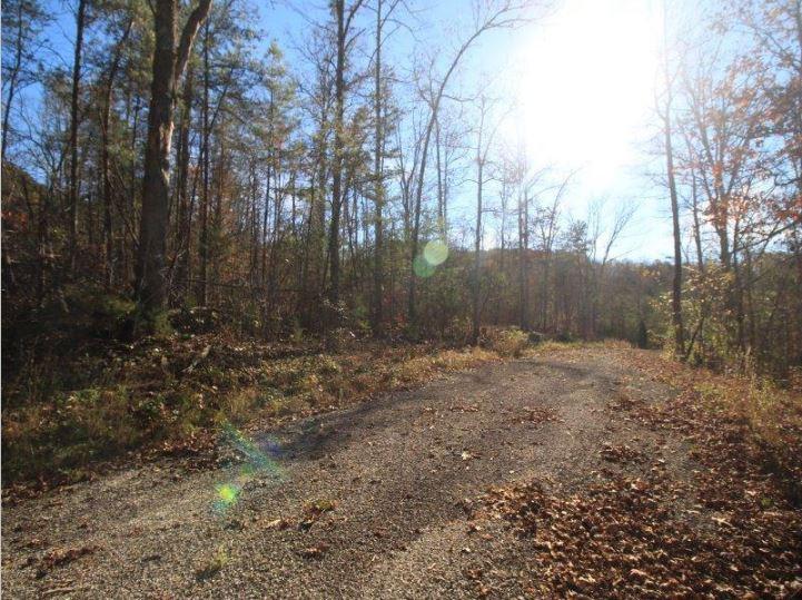 1480 Reagan Valley Road Tellico Plains, TN 37385 - Photo 28 of 32 Carrandi Lot 6 RMC photo 19
