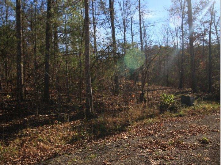 1480 Reagan Valley Road Tellico Plains, TN 37385 - Photo 29 of 32 Carrandi Lot 6 RMC photo 20