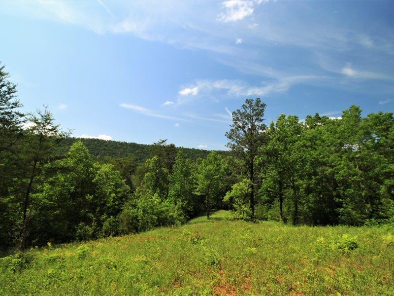 1480 Reagan Valley Road Tellico Plains, TN 37385 - Photo 6 of 32 IMG_5626
