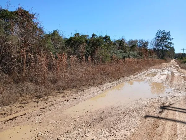 a view of a dirt yard with a mountain