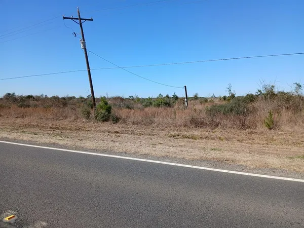 a view of a dry yard