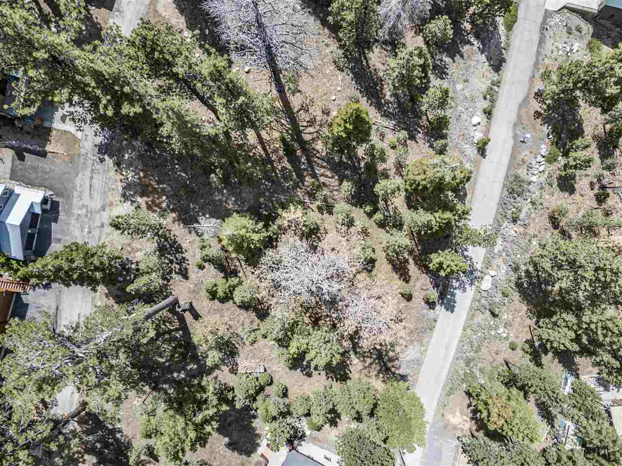 -piute Piute Drive June Lake, CA 93529 - Photo 8 of 9 a view of a yard with plants and tree