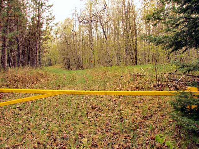 14-acres Starks Settlement Road Laona, WI 54541 - Photo 1 of 12 Gallery Image 1