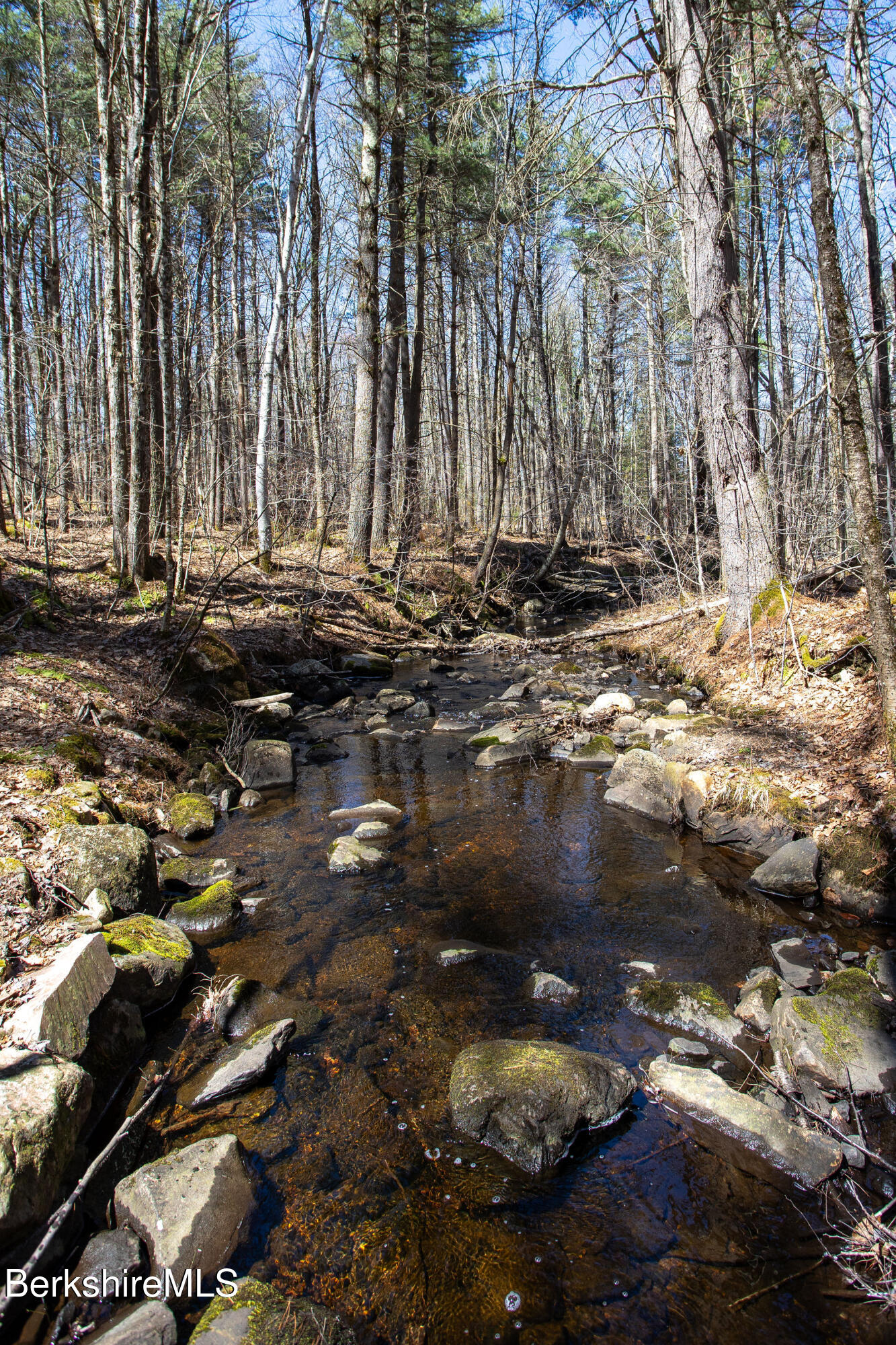 293 Sandisfield Road New Marlborough, MA 01230 - Photo 81 of 93 R089