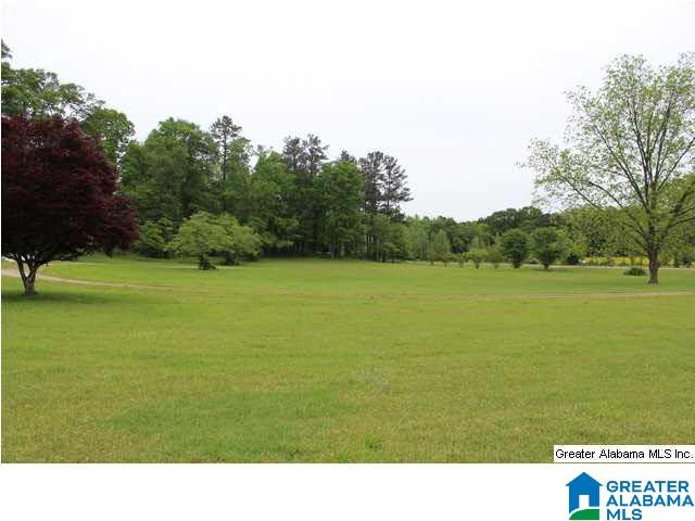 1211 Airport Road Eastaboga, AL 36260 - Photo 25 of 32