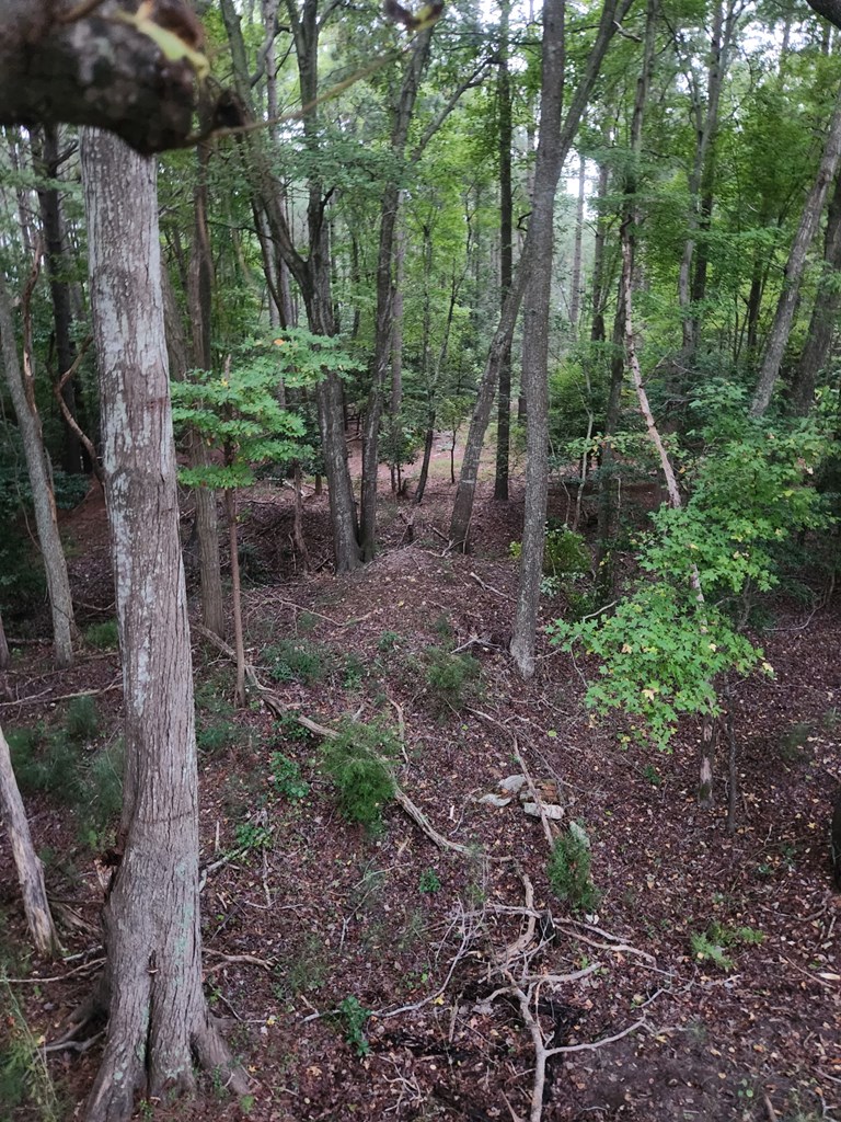Lot 17 Red Bank Road, Unit 17 Birdsnest, VA 23307 - Photo 3 of 8