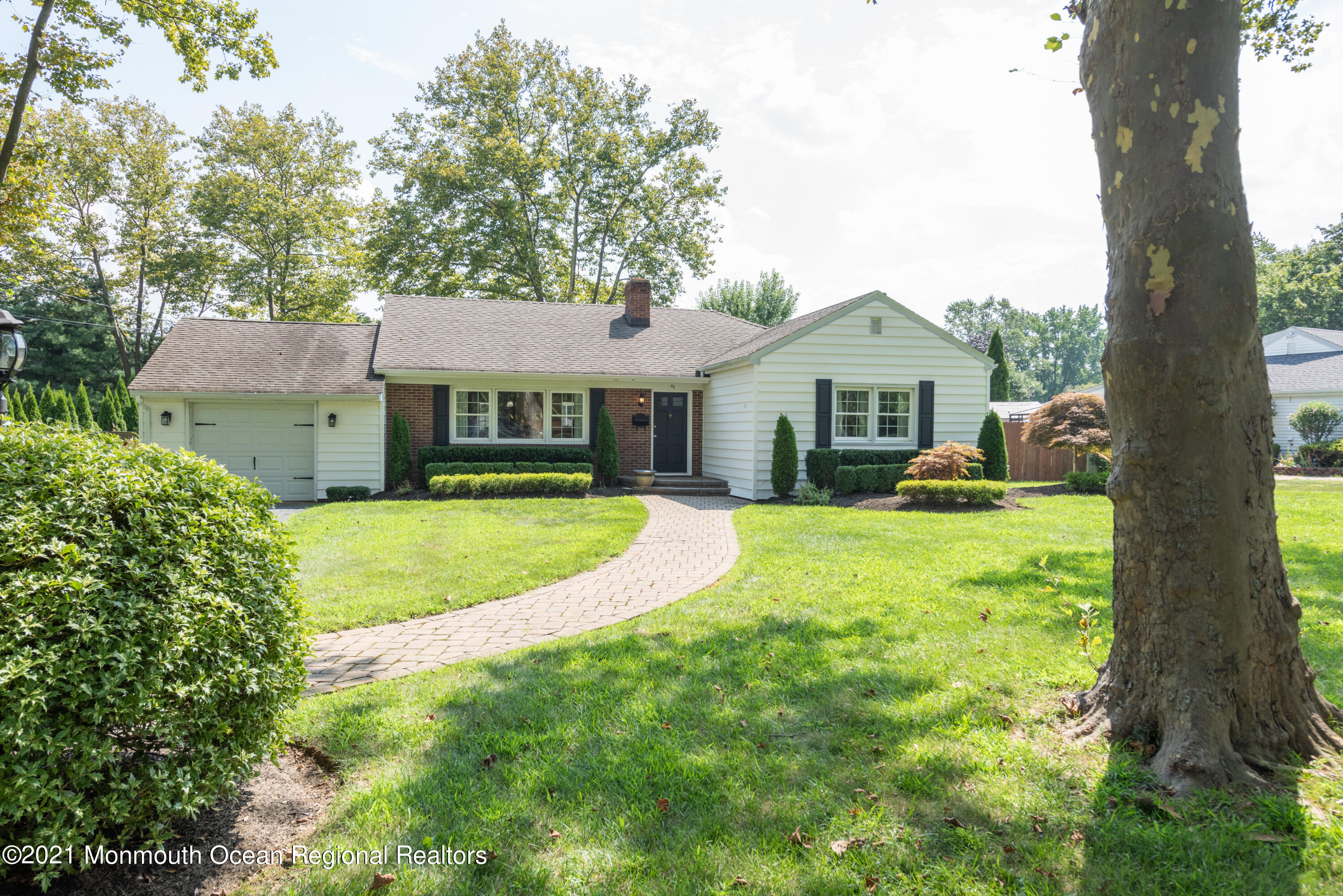 56 Apple Farm Road Red Bank, NJ 07701 - Photo 8 of 36 BAP_5752