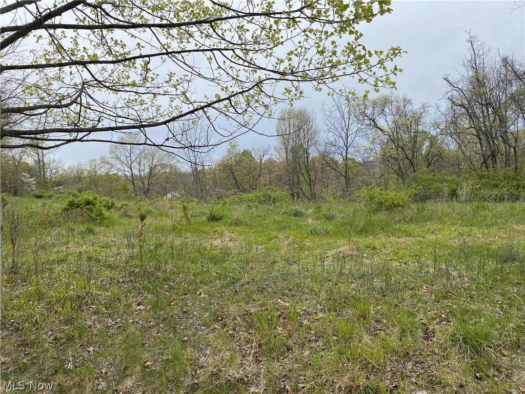 51444 Mud Run Road Sarahsville, OH 43779 - Photo 7 of 8 View of nature