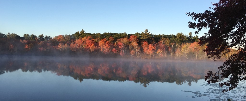 146 Georgetown Road Boxford, MA 01921 - Photo 6 of 11