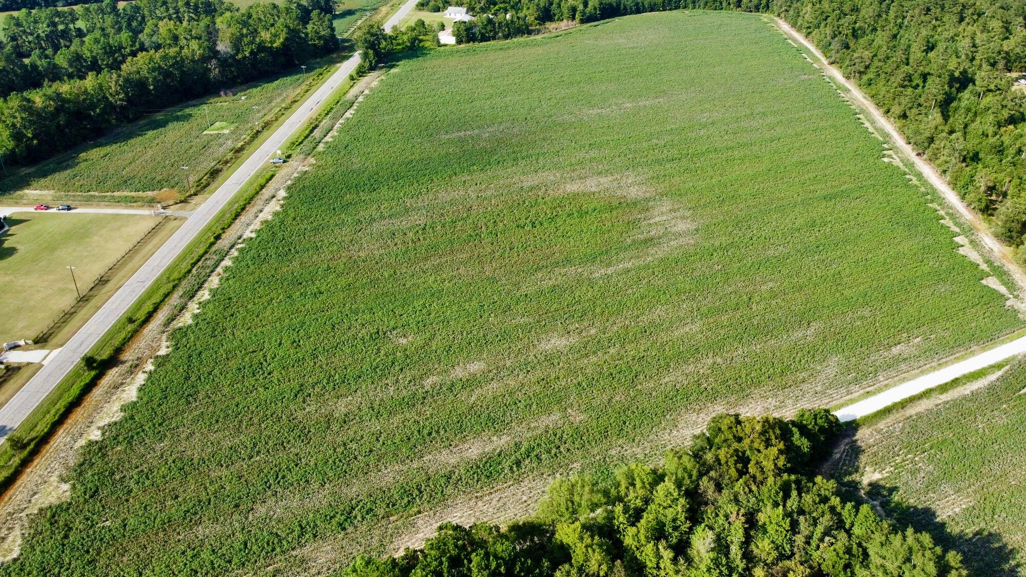 Lot 2 South S Highway St. George, SC 29477 - Photo 4 of 6 dronefield