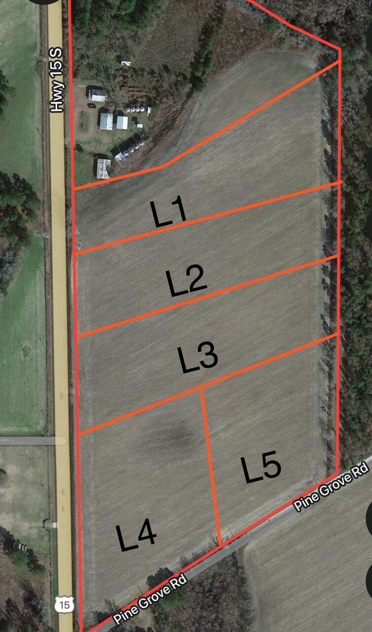 Lot 2 South S Highway St. George, SC 29477 - Photo 5 of 6 lotlines