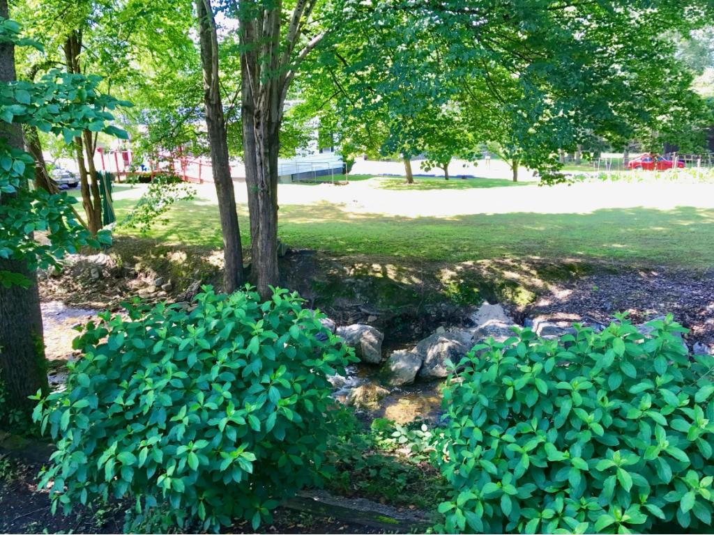 39 Jones Road Erwin, TN 37650 - Photo 28 of 34 Photo 28